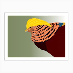 Golden Pheasant Bird Art Art Print