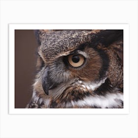 Great Horned Owl Art Print