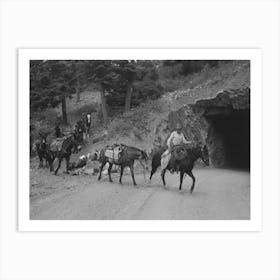 Sheepherders And Their Horses Moving Camp From Summer To Winter Range, Ouray County, Colorado By Russell Lee Art Print