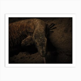 Lizard Art Print