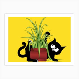 Black Cat In A Pot Art Print