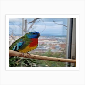 Multicolor bird Art Print