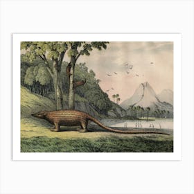 Vintage Kolb 12 Tafel 40 Pangolin Art Print