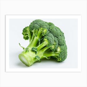 Broccoli On White Background 5 Art Print