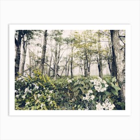 Smokey Mountain National Park Wildflower Forest Art Print