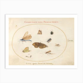 Two Butterflies And A Moth With A Dragonfly, Two Ants, And Four Other Insects, Joris Hoefnagel Art Print