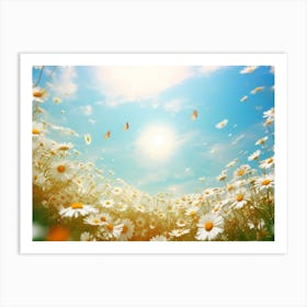 Daisy Field 5 Art Print