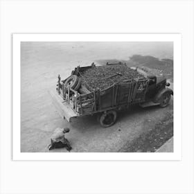 Untitled Photo, Possibly Related To Unloading Gravel To Be Used In Mine Building Construction, Ouray County Art Print