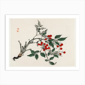 Firethorns, Kōno Bairei Art Print