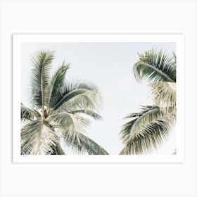 Two Green Palms Art Print