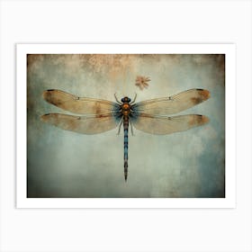 Dragonfly 11 Art Print