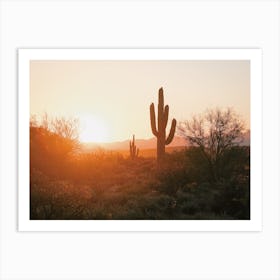 Warm Desert Sunset Art Print