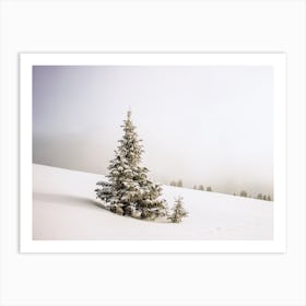 Winter Wonderland Pine Tree Art Print