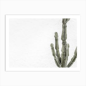 Green Cactus_2251410 Art Print