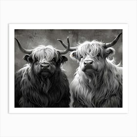 Highland Cows 5 Art Print