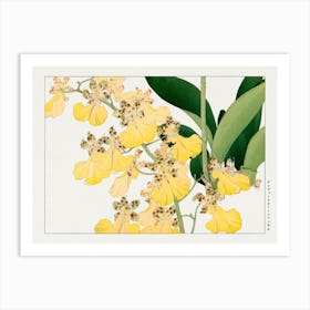 Vintage Orchid Flower, Tanigami Kônan Art Print