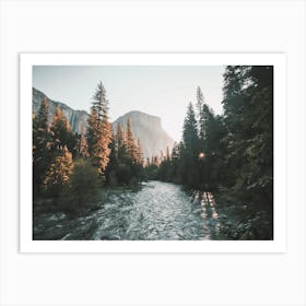 Yosemite Forest Creek Art Print