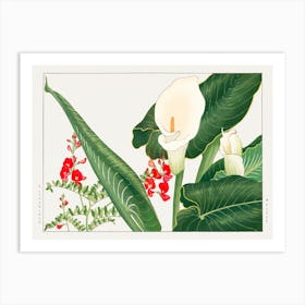 Lathyrus & Calla Lily Flower, Japanese Woodblock Art Print