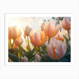 Tulips In The Garden 5 Art Print