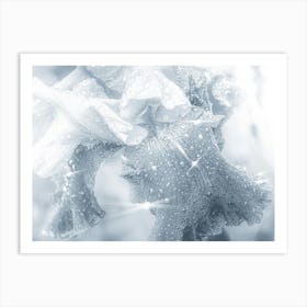 Glass Crystal Flower With Shine Art Print