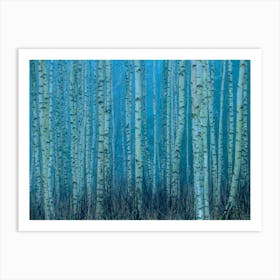 Forest Birch Nature Autumn Masuria Landscape Poland Art Print