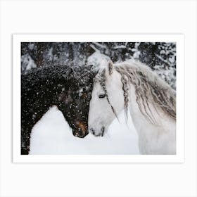 Horses In Snow Storm Art Print
