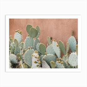 Prickly Pear Cactus Art Print