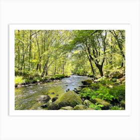 River In The Woods 1 Art Print