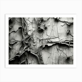 Cracks In The Wall Art Print