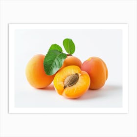 Apricots 14 Art Print