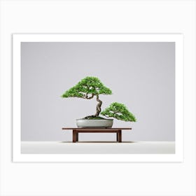 Bonsai Tree Delicate Elegant Branches Set In A Serene Minimalist Scene Hues Of Softly Muted Gre Art Print