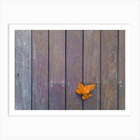 Orange Leaf On Wooden Deck 1 Art Print