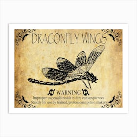 Dragonfly Wings, Halloween Poster Art Print