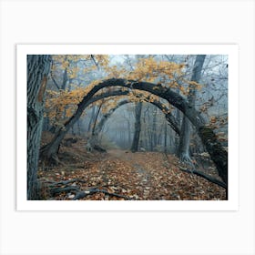 Arch In The Woods 1 Art Print