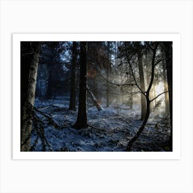 Winter Forest Art Print