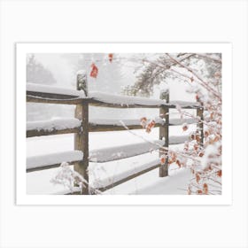 Snow Covered Fence Art Print