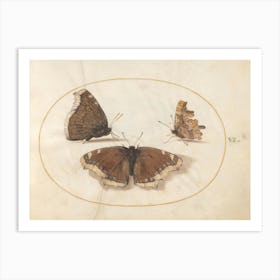 Three Brown Butterflies (c. 1575-1580), Joris Hoefnagel Art Print