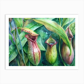 Pitcher Plants 1 Art Print