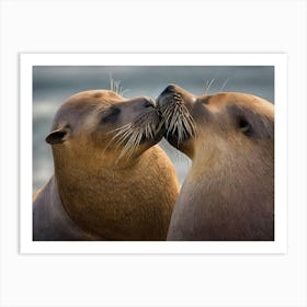 Walrus Art Print