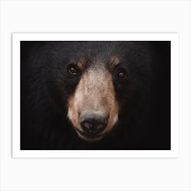 Black Bear Profile Art Print