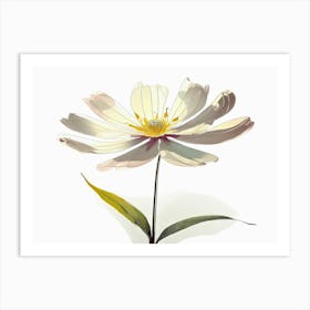 White Flower 1 Art Print