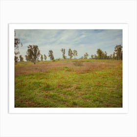 Field Of Red Anemones 2 Art Print