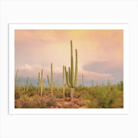 Pastel Desert Sky Art Print