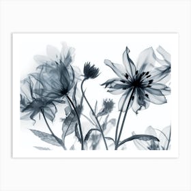 Silhouette Black And White Flowers 1 Art Print