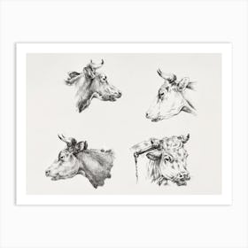 Four Bull Heads (1809 1833), Jean Bernard Art Print