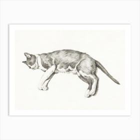 Sketch Of A Lying Cat 1, Jean Bernard Art Print