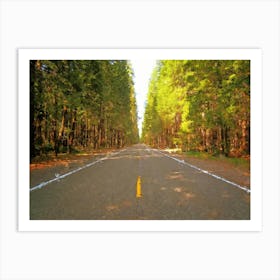 Sunny Road, Oil Painting Art Print