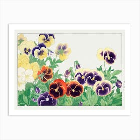 Pansies Art Print