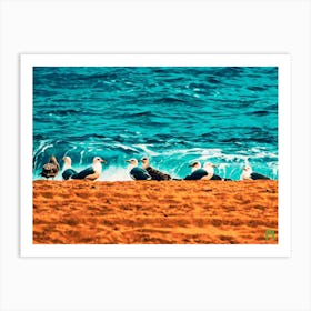 Seagulls On The Beach 201310261371rt1pub Art Print