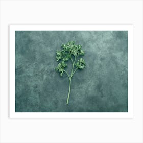 Parsley Kitchen Art Print